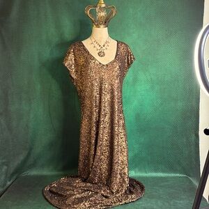 Johnny Was Toto sequin maxi dress. Necklace is not included with the dress.